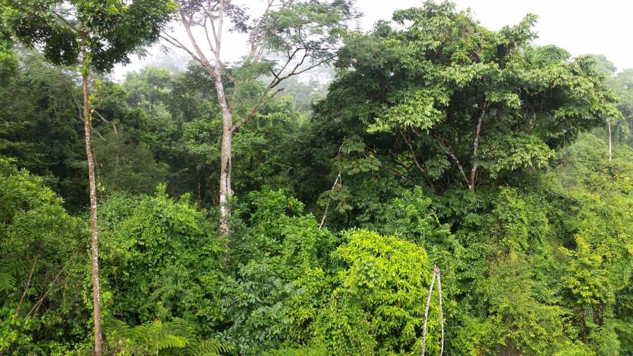 Finca Sueno de Osa Puerto Jiménez Exterior foto