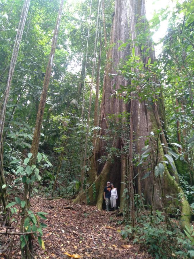 Finca Sueno de Osa Puerto Jiménez Exterior foto
