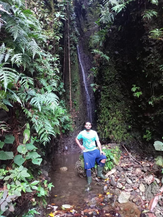 Finca Sueno de Osa Puerto Jiménez Exterior foto