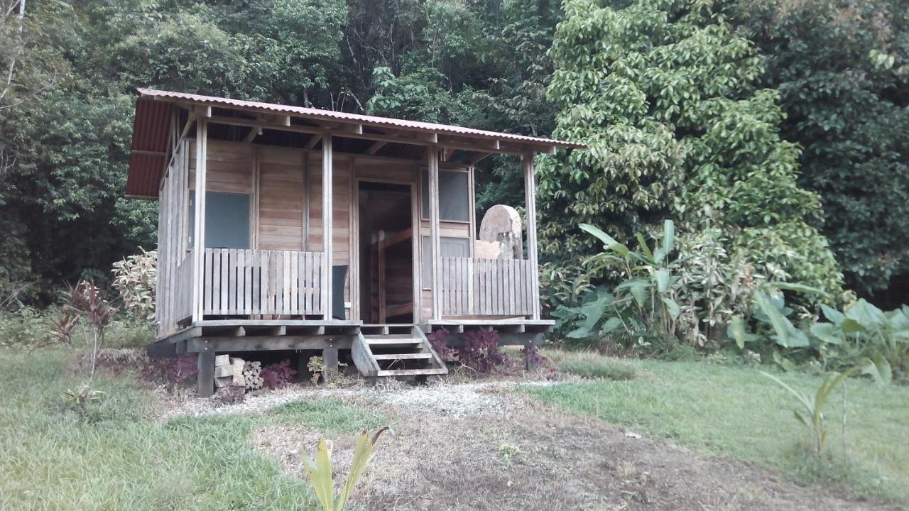 Finca Sueno de Osa Puerto Jiménez Exterior foto